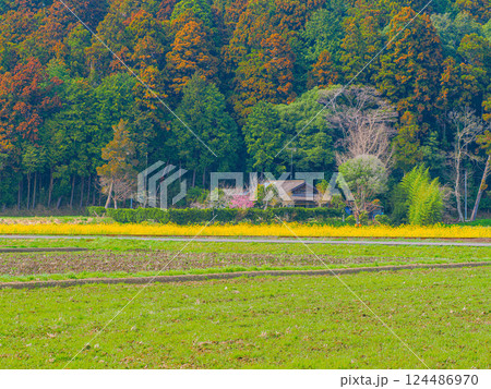 春の小湊鉄道上総川間駅周辺の風景 124486970