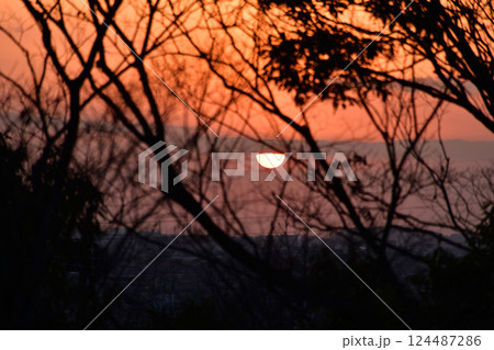 林の向こうに見える沈t太陽がむ行く冬の夕暮れ 林の向こうに見える沈t太陽がむ行く冬の夕暮れ 124487286