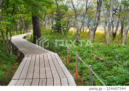 戦場ヶ原自然研究路 （栃木県日光市） 124487344