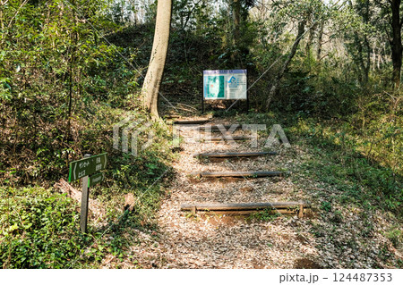 野鳥の森 千葉県佐倉市 案内板 野鳥の森 千葉県佐倉市 案内板 124487353