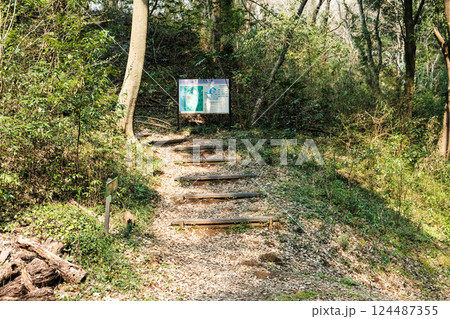 野鳥の森　千葉県佐倉市　案内板　 124487355