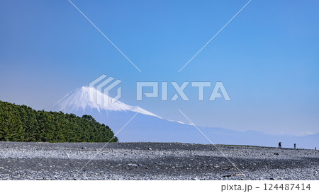 三保松原から富士山の眺め 124487414