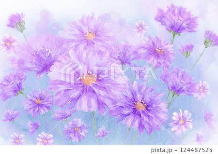 マーガレット ※春の花の背景素材 マーガレット ※春の花の背景素材 124487525