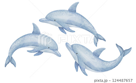 Watercolor illustration of cute Dolphin in soft pastel blue tones. Drawing of marine Animal for childish greeting cards or kids invitations. Art of Porpoise for childish design in nautical style. 124487657
