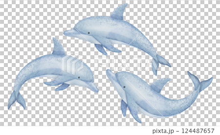 Watercolor illustration of cute Dolphin in soft pastel blue tones. Drawing of marine Animal for childish greeting cards or kids invitations. Art of Porpoise for childish design in nautical style. 124487657