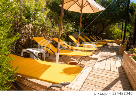 Rows of Sun Loungers and Umbrellas on a Tropical Beach 124488340