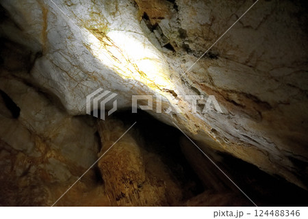 中国地方・秋吉台・秋芳洞・黒谷支洞のツルツルした奇妙な造形、猿すべり・山口県美弥市(1) 124488346