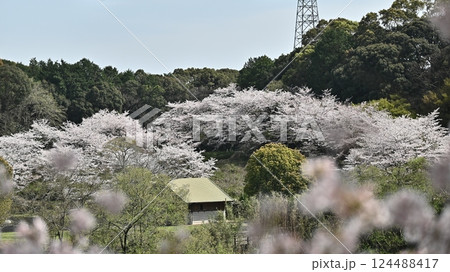 岳ノ木場公園(長崎県大村市) 岳ノ木場公園(長崎県大村市) 124488417