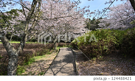 岳ノ木場公園(長崎県大村市) 岳ノ木場公園(長崎県大村市) 124488421