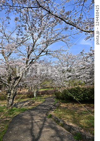 岳ノ木場公園（長崎県大村市） 124488425