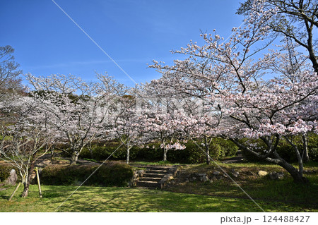 岳ノ木場公園（長崎県大村市） 124488427