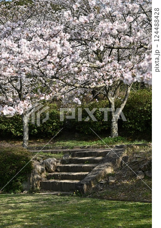 岳ノ木場公園(長崎県大村市) 岳ノ木場公園(長崎県大村市) 124488428