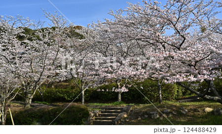 岳ノ木場公園（長崎県大村市） 124488429