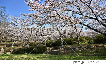 岳ノ木場公園（長崎県大村市） 124488430