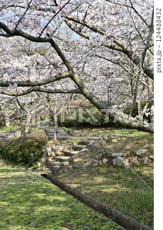 岳ノ木場公園(長崎県大村市) 岳ノ木場公園(長崎県大村市) 124488432