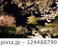 東寺桜ライトアップ 124488790
