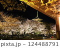 東寺桜ライトアップ 124488791