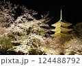 東寺桜ライトアップ 124488792