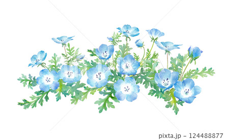 春の花:ネモフィラの水彩イラスト。群生。 春の花:ネモフィラの水彩イラスト。群生。 124488877