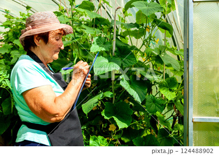 Elderly Female Farmer Observing Plants and Taking Notes Elderly Female Farmer Observing Plants and Taking Notes 124488902