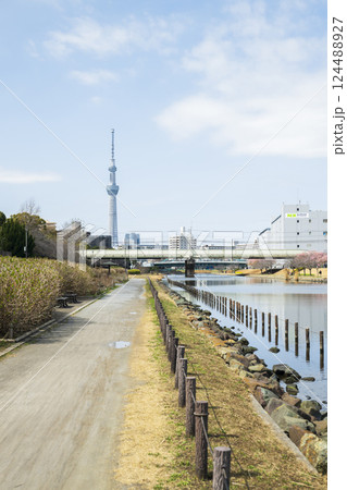 旧中川の風景とスカイツリー 124488927