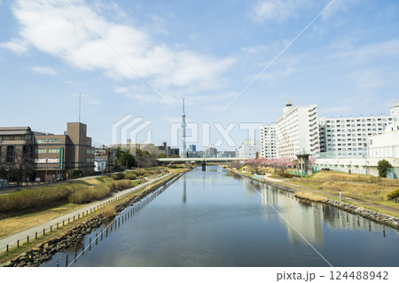 旧中川の風景とスカイツリー 旧中川の風景とスカイツリー 124488942