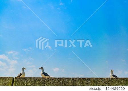 北海道羅臼の小さな漁港　まつのり 124489090