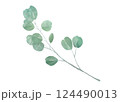 ユーカリのイラスト 124490013