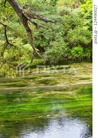 戦場ヶ原自然研究路 湯川 (栃木県日光市) 戦場ヶ原自然研究路 湯川 (栃木県日光市) 124490027