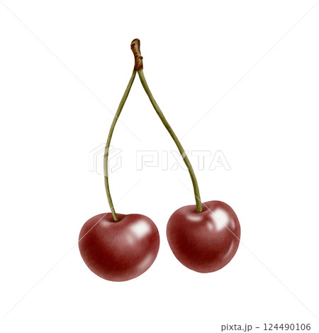 A couple of fresh ripe cherries on a fruit branch, glossy red juicy berries in watercolor hand drawn isolated illustration as a topping for juice, jam, ice cream,food label 124490106
