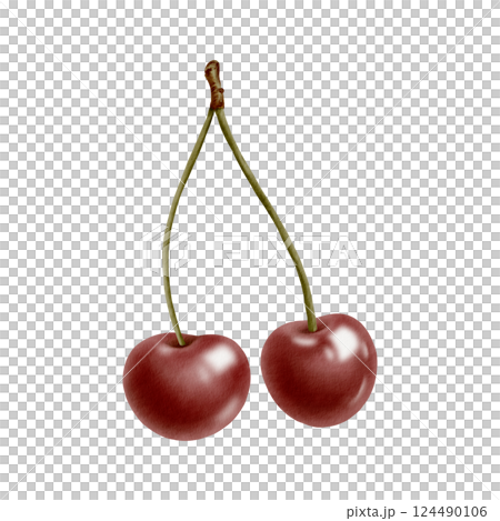 A couple of fresh ripe cherries on a fruit branch, glossy red juicy berries in watercolor hand drawn isolated illustration as a topping for juice, jam, ice cream,food label 124490106