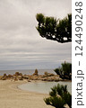 和歌山県の風景 124490248