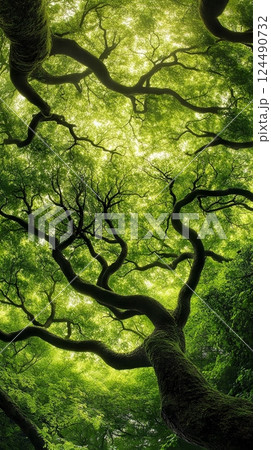 Looking up into lush green forest canopy with sunlight filtering through, vibrant and serene nature perspective, tranquility concept 124490732