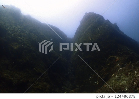 真鶴 岩ポイントの地形 124490879