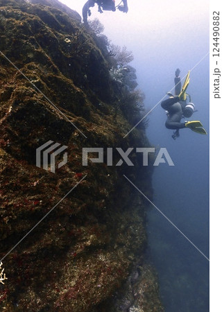 真鶴 岩ポイントの地形 124490882