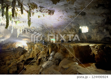 中国地方・秋吉台・秋芳洞・傘づくしと呼ばれる天井と、ユニークな造形のライオン岩・山口県美弥市(2) 124490924