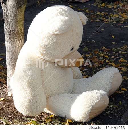 Kyiv, Ukraine March 11, 2022: A large teddy bear thrown into the garbage sitting near a dumpster Kyiv, Ukraine March 11, 2022: A large teddy bear thrown into the garbage sitting near a dumpster 124491058
