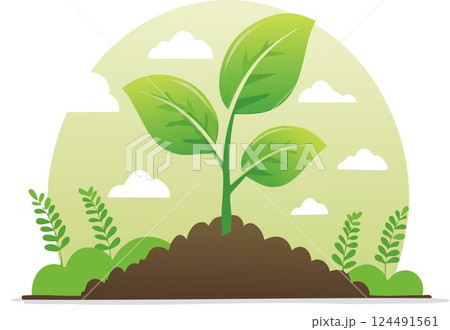A green young plant growing in soil on nature background 124491561