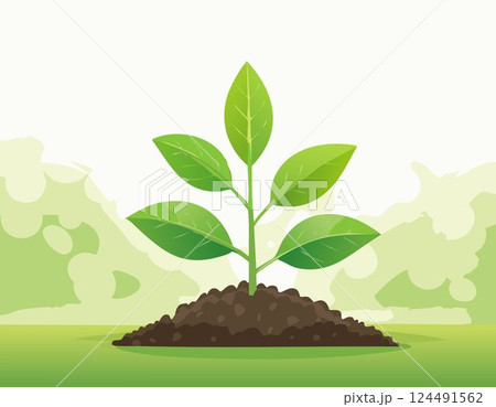 A green young plant growing in soil on nature background 124491562