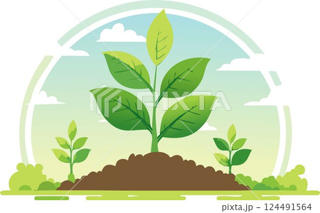 A green young plant growing in soil on nature background 124491564