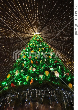 Central Christmas tree on the square of the city of Kiev for the New Year 2021 124491578