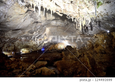 中国地方・秋吉台・秋芳洞・千町田と蓬莱山を見て回る観光客、ライオン岩からの景色・山口県美弥市(1) 124491699