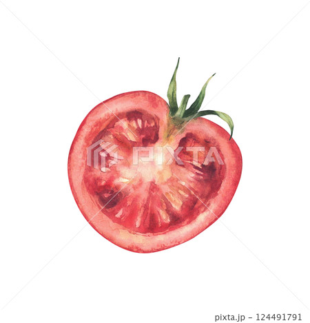 Sliced ripe red tomato with a green stem. Hand painted watercolor illustration of fresh vegetable, perfect for salads, harvest themes, food packaging and kitchen decor. Isolated from white background. 124491791