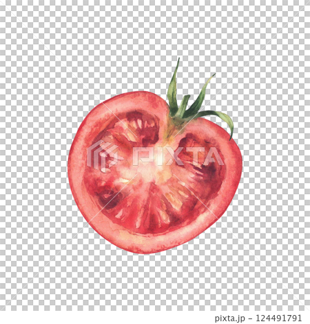 Sliced ripe red tomato with a green stem. Hand painted watercolor illustration of fresh vegetable, perfect for salads, harvest themes, food packaging and kitchen decor. Isolated from white background. 124491791