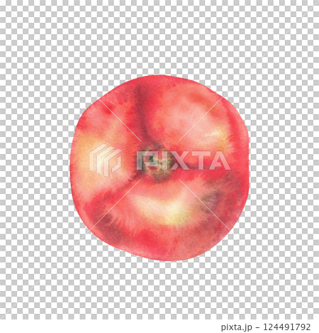Tomato top view. Watercolor closeup one red vegetable. Juicy ripe tomato whole fruit hand drawn illustration. Clipart for your food, garden harvest label design, print. isolated from white background. 124491792