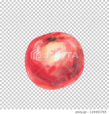 Red tomato. Watercolor vegetables juicy ripe tomato fruit hand drawn illustration. Realistic clipart for food, garden harvest label design, kitchen fabric design element isolated from white background Red tomato. Watercolor vegetables juicy ripe tomato fruit hand drawn illustration. Realistic clipart for food, garden harvest label design, kitchen fabric design element isolated from white background 124491793