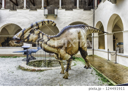 Dinosaurs featured in an exhibition held in Gubbio, Italy 124491911