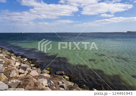 Oresund bridge seen from Amager beach park, Copenhagen, Denmark, sunny day Oresund bridge seen from Amager beach park, Copenhagen, Denmark, sunny day 124491943