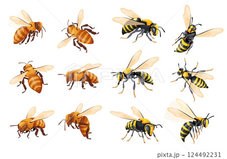 Cartoon wasp set. Realistic wasps hive, honeybee flying hornet bee worker and bumblebee european insect black yellow stripes fly bug for flower honey mead, neat vector illustration 124492231