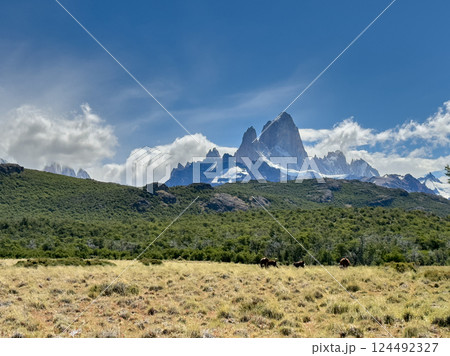 フィッツロイ山と草原にたたずむ馬たち｜パタゴニアの牧歌的風景 124492327